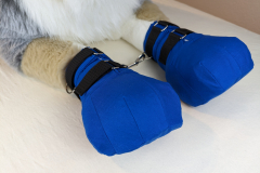 PXL_20230122_181723535mirror