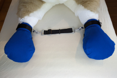 PXL_20230122_182026477.MP_