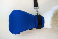 PXL_20230122_182048798.MP_