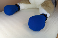 PXL_20230122_182108340.MP_