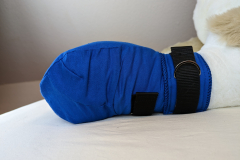 PXL_20230122_182132502