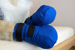 PXL_20230122_182345977