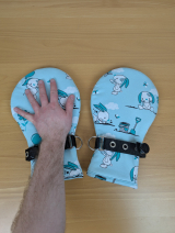 PXL_20250216_145134256