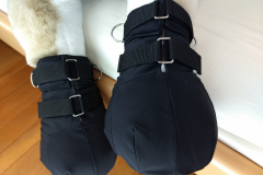 IMG_20220617_191330013