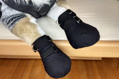 IMG_20220617_191403161_HDR