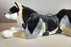 IMG_20220617_194805048_HDR