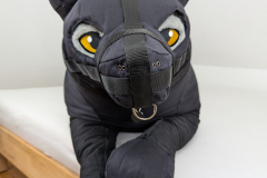 PXL_20241027_081958198