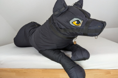 PXL_20241027_082141780