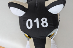 PXL_20260619_130056278