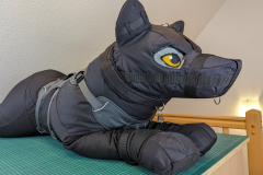 PXL_20231208_103611889