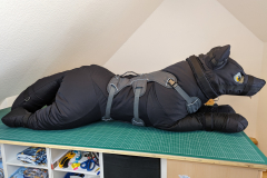 PXL_20231208_103739039