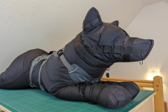 PXL_20231208_104154058.MP_