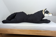 PXL_20241027_080939132