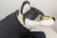 PXL_20241027_080949560