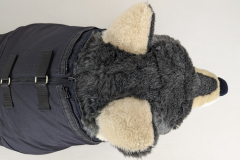 PXL_20241027_081007460