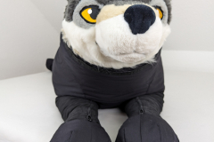 PXL_20241027_081030333