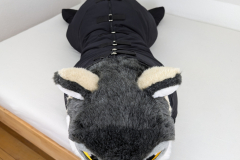 PXL_20241027_081116208