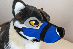 PXL_20221124_153631314