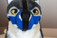 PXL_20221124_153737693