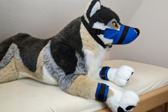 PXL_20221124_154605866