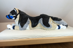 PXL_20221124_155004148