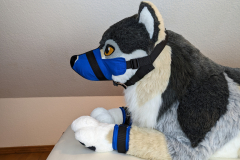 PXL_20221124_155023074