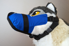 PXL_20230122_181831944