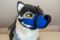 PXL_20230122_182504899