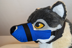 PXL_20230122_182644284