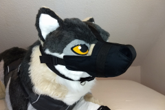 IMG_20220617_193801466