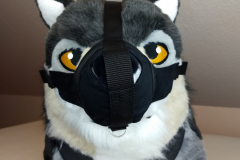 IMG_20220617_193838321