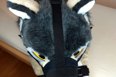 IMG_20220617_193933415