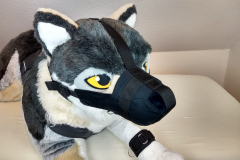 IMG_20220617_194003711_HDR